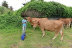 GCH0001