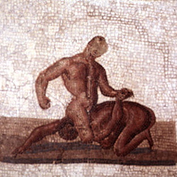 Romanos