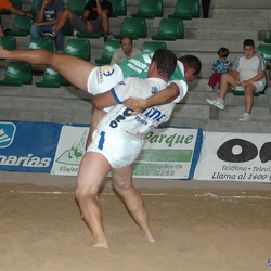 2007