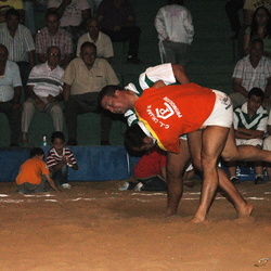 Luchas