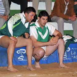 2013