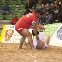 140119 Tegueste Valle de Guerra