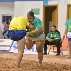 180119 Torneo Alfredo Martin El Palmero