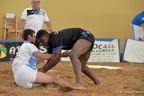 Cadetes